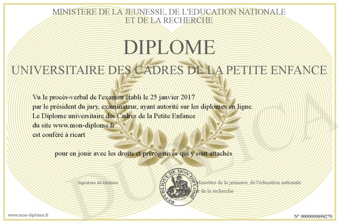 diplome universitaire janvier 2017